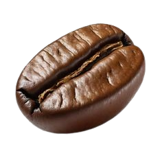 Coffee Bean